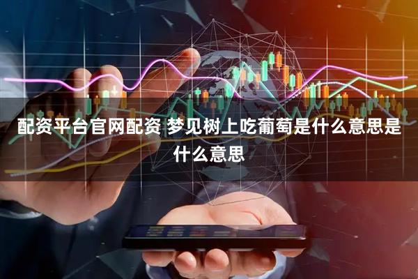 配资平台官网配资 梦见树上吃葡萄是什么意思是什么意思