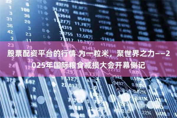 股票配资平台的行情 为一粒米，聚世界之力——2025年国际粮食减损大会开幕侧记