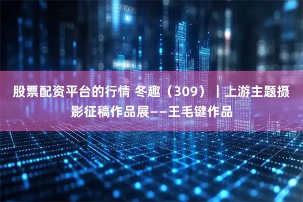 股票配资平台的行情 冬趣（309）｜上游主题摄影征稿作品展——王毛键作品